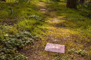 Foroige Stepping Stones